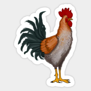 Cute Rooster Drawing Sticker